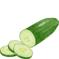 concombre concombre