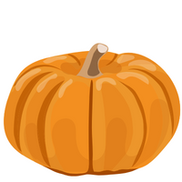 courge courge