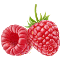 Framboise Framboise