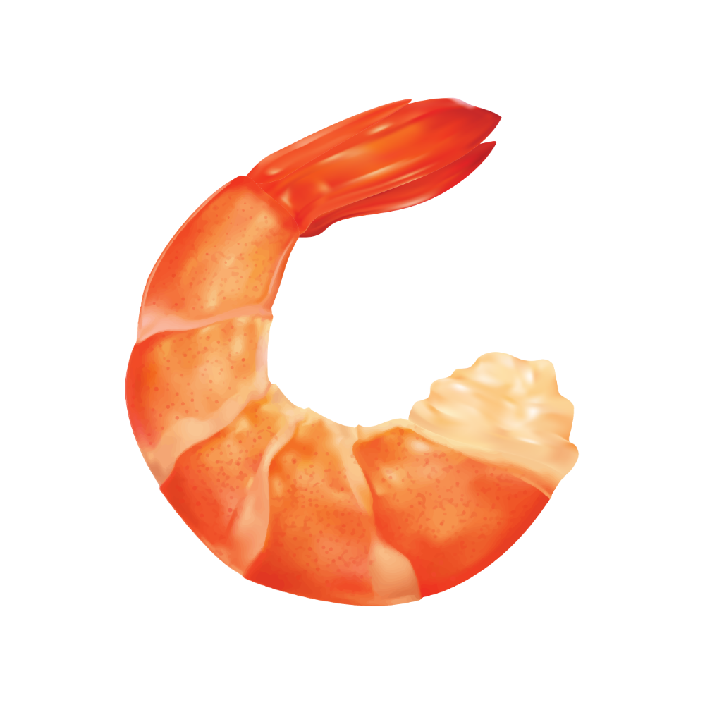 Gambas Gambas