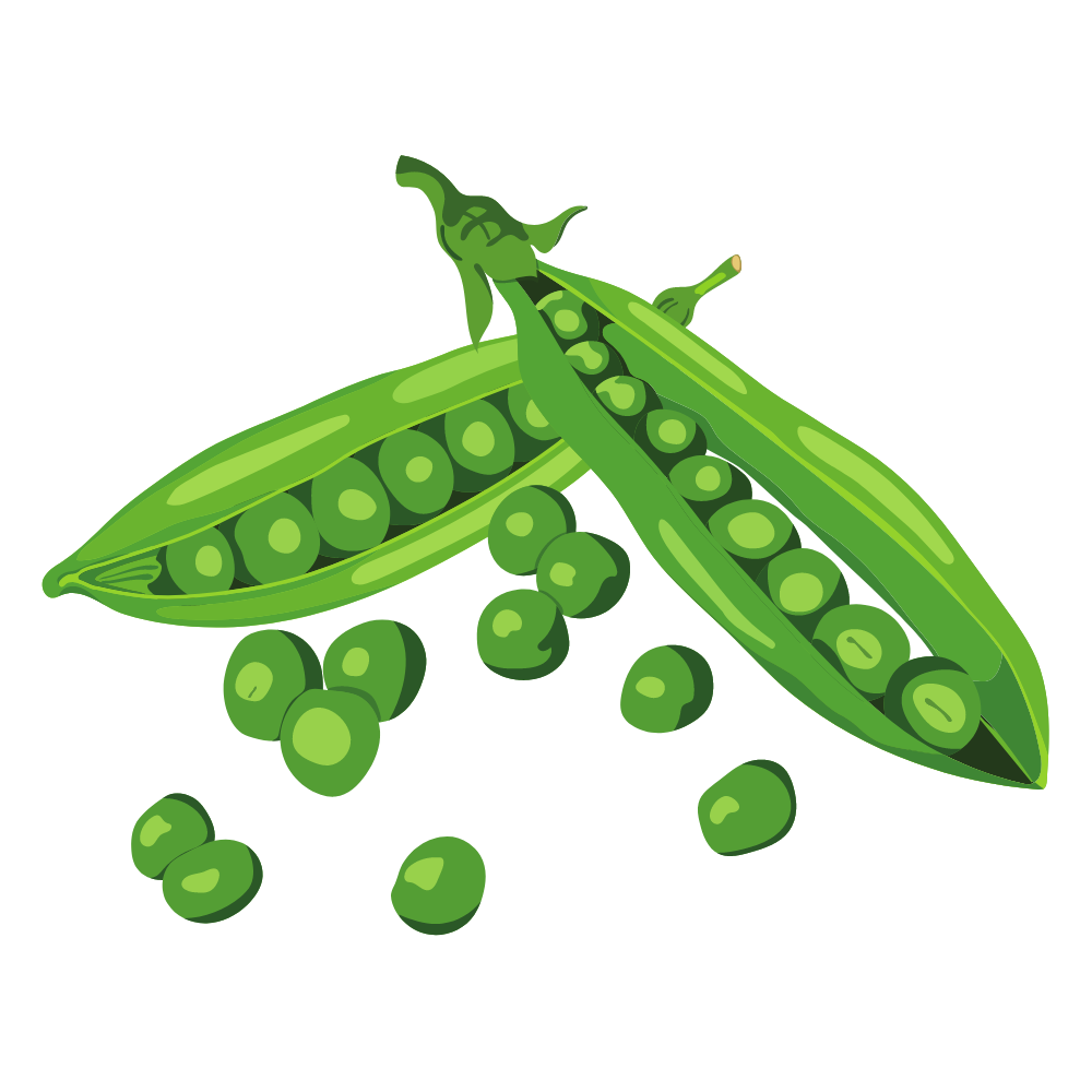 petits poids petits poids (légume)