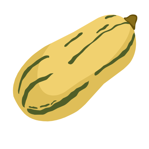 Courge Delicata